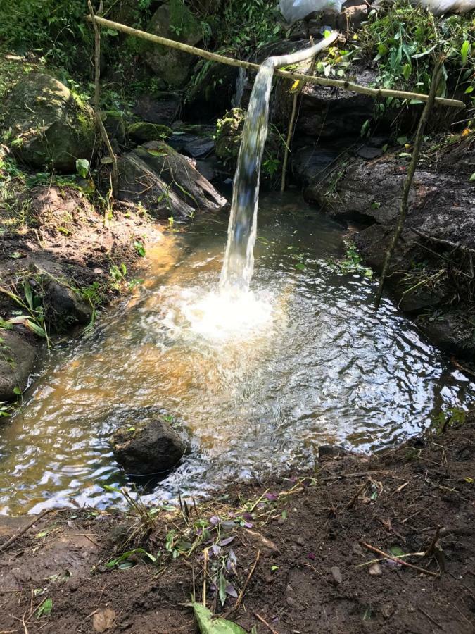 Quartos Dossel - Sitio Belo Monte Panzió Pacoti Kültér fotó